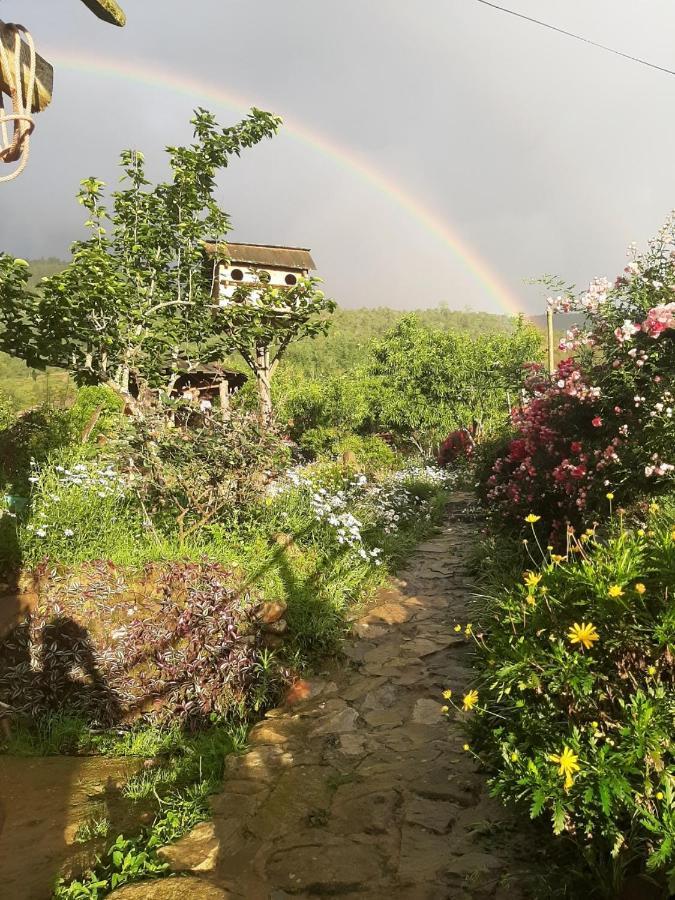 H'Mong Co Tran Sapa Homestay Екстериор снимка