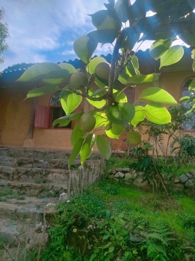 H'Mong Co Tran Sapa Homestay Екстериор снимка